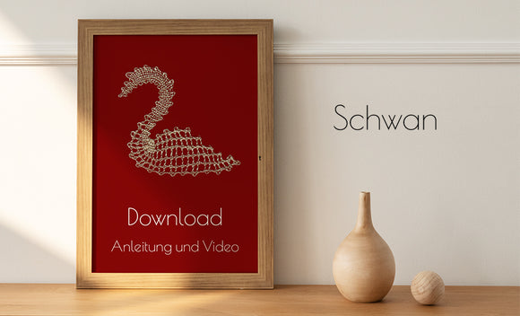 Video 13: Schwan